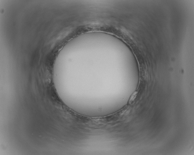 X0000074311253200609151958