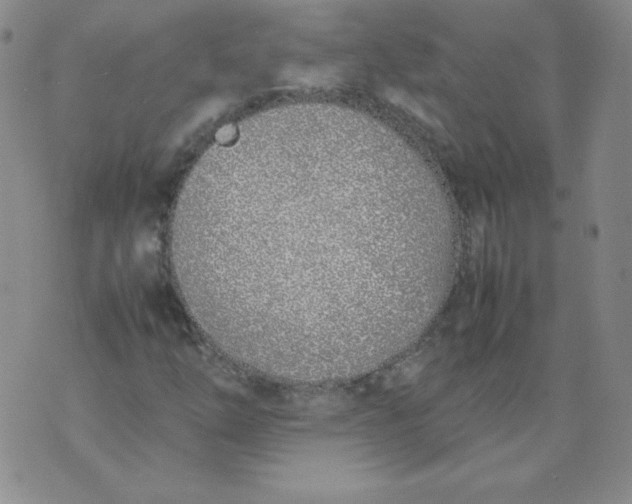 X0000074311254200609151958