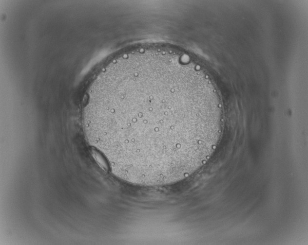 X0000074311255200609151958