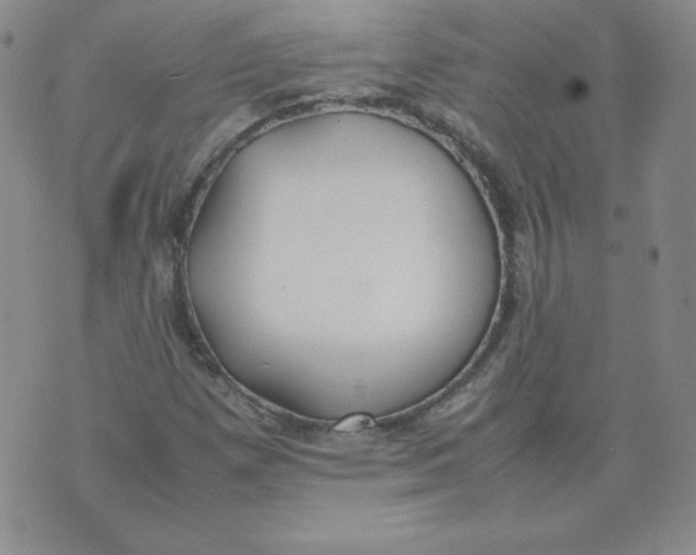 X0000074311257200609151958