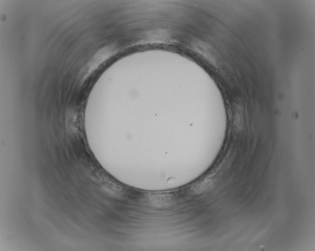 X0000074311258200609151958