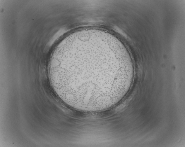 X0000074311259200609151958