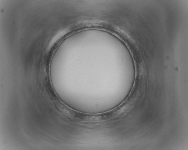 X0000074311261200609151958