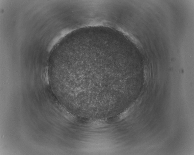 X0000074311262200609151958