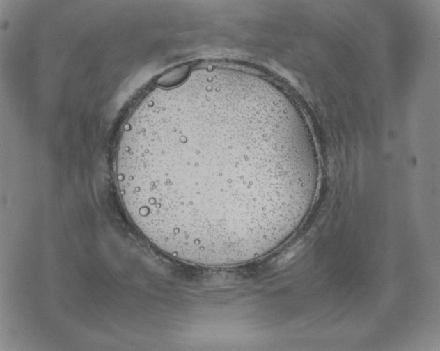 X0000074311263200609151958