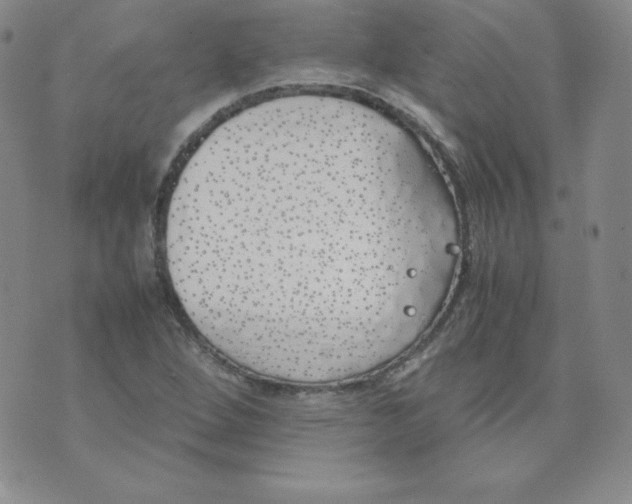 X0000074311264200609151958