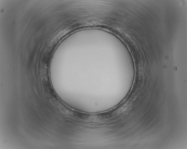 X0000074311265200609151958