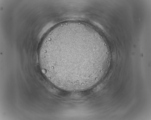 X0000074311267200609151958