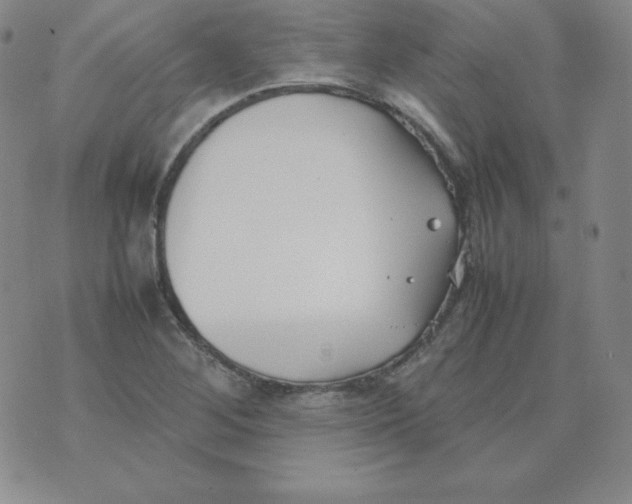 X0000074311268200609151958