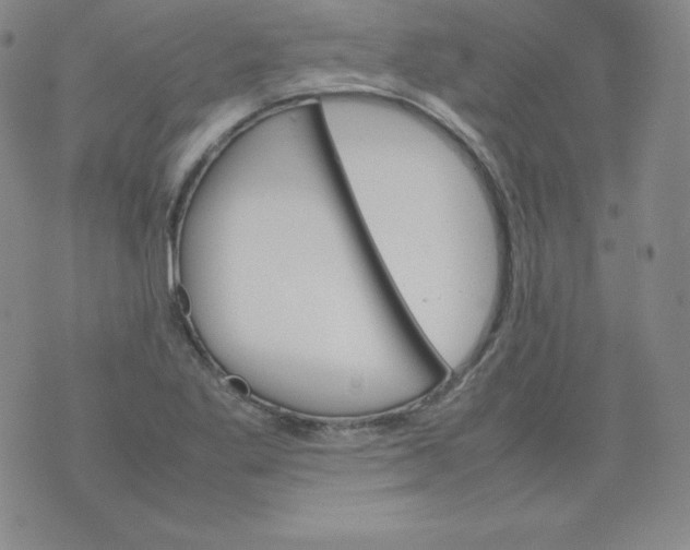 X0000074311269200609151958