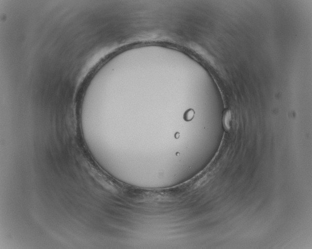 X0000074311270200609151958