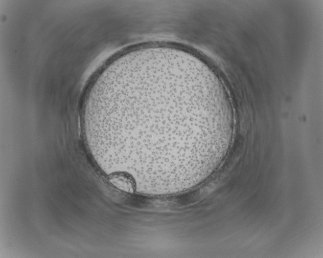 X0000074311271200609151958