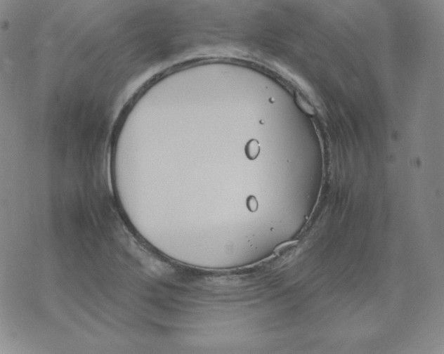 X0000074311272200609151958