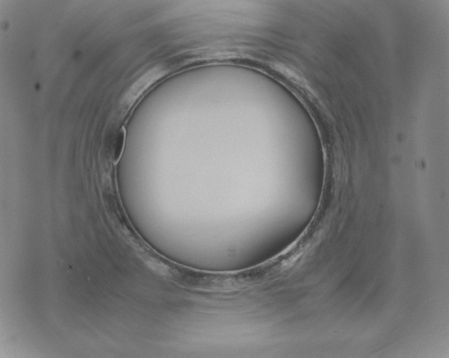 X0000074311273200609151958