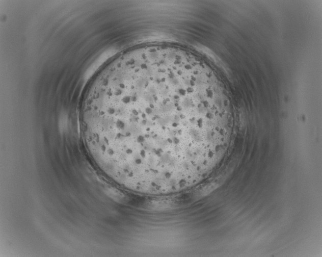 X0000074311274200609151958