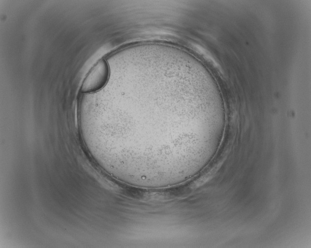 X0000074311275200609151958