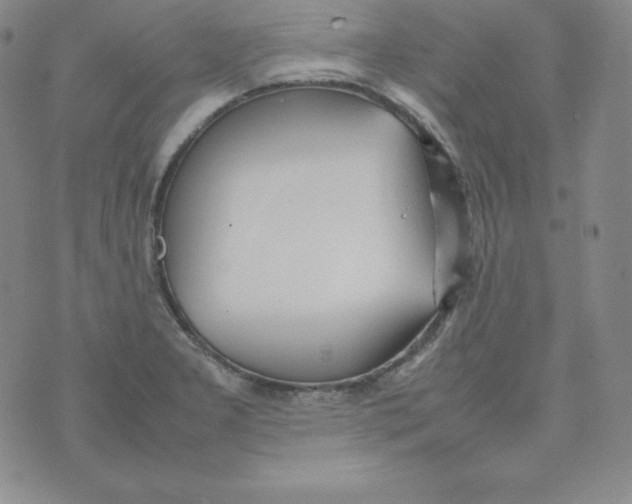 X0000074311277200609151957