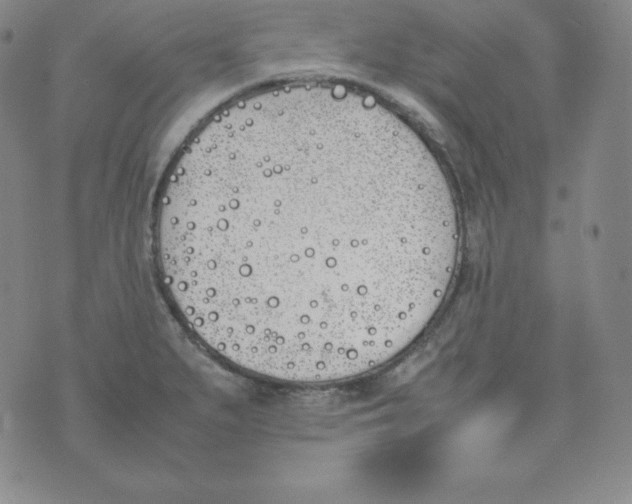 X0000074311279200609151957