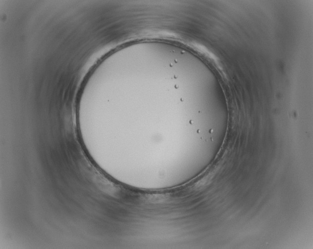 X0000074311280200609151957