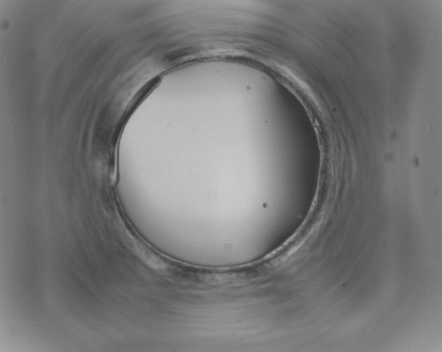 X0000074311281200609151957