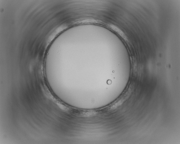 X0000074311282200609151957