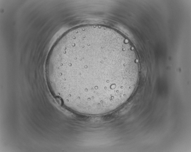 X0000074311283200609151957