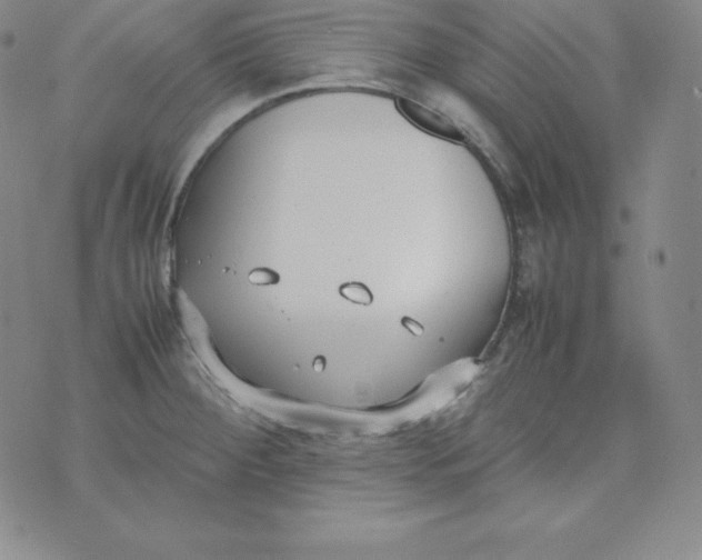 X0000074311284200609151957