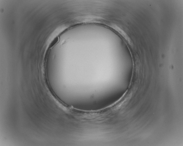 X0000074311285200609151957