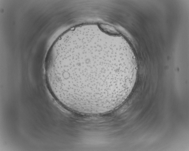 X0000074311287200609151957