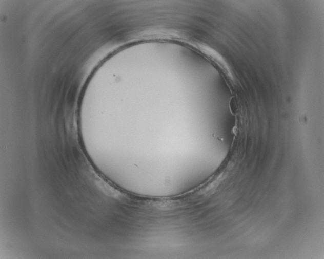 X0000074311288200609151957