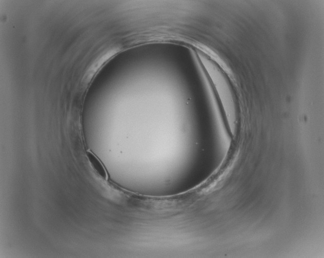 X0000074311289200609151957