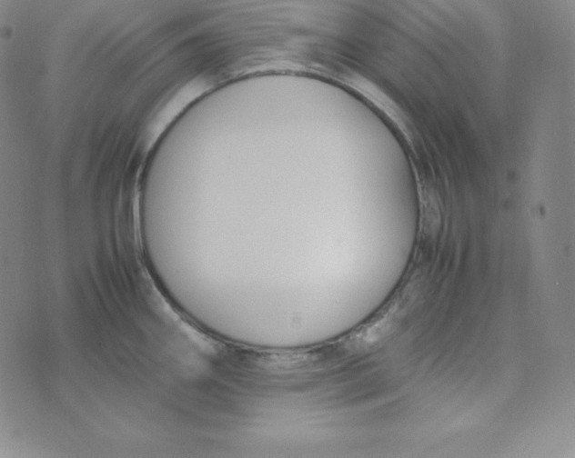 X0000074311290200609151957