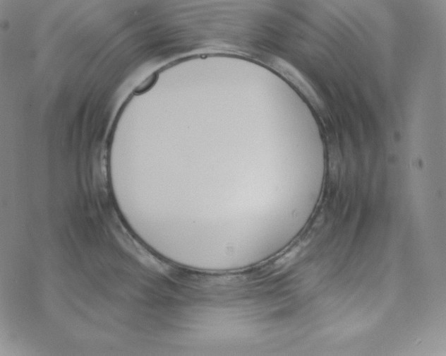 X0000074311292200609151957