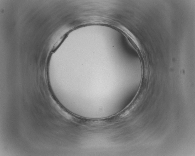 X0000074311293200609151957