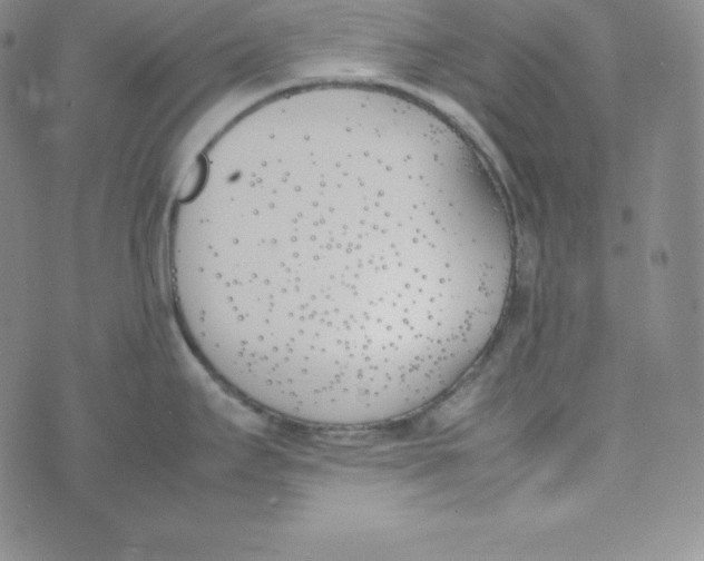 X0000074311295200609151957