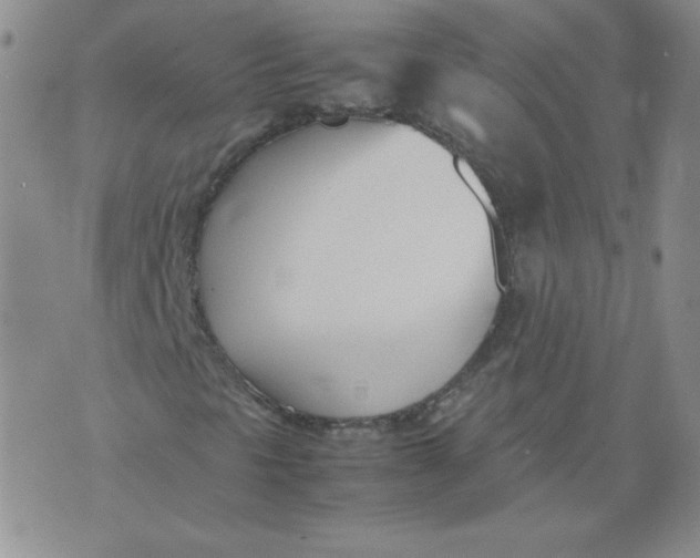 X0000074311297200609151956