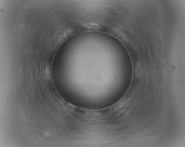 X0000074311298200609151956