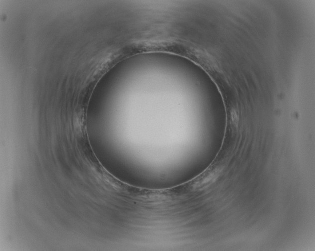 X0000074311300200609151956