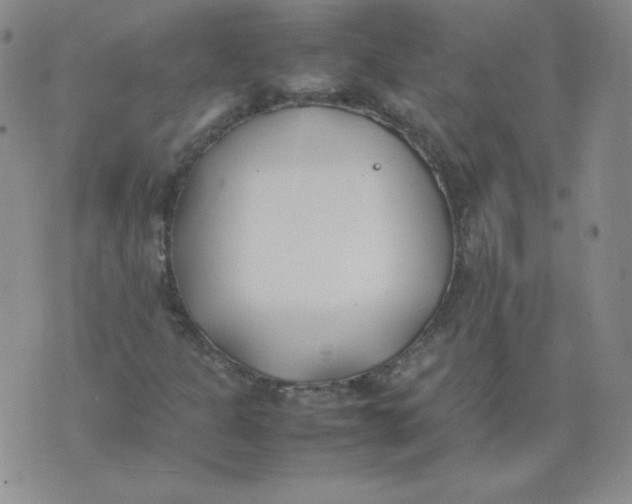 X0000074311301200609151956