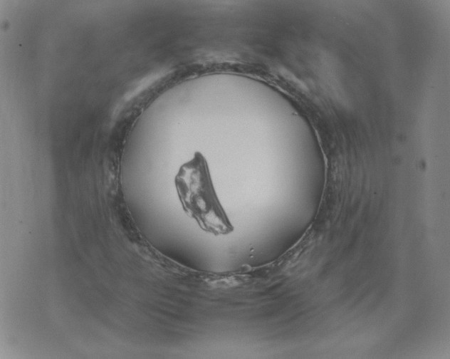 X0000074311303200609151957