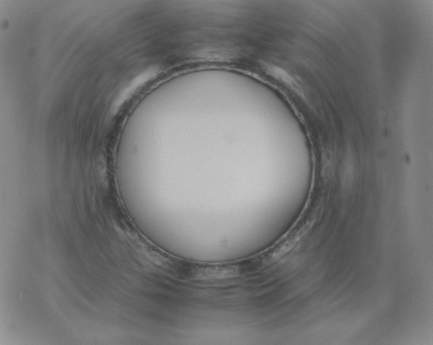 X0000074311307200609151957