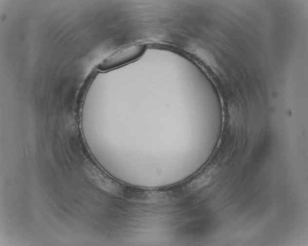 X0000074311308200609151957