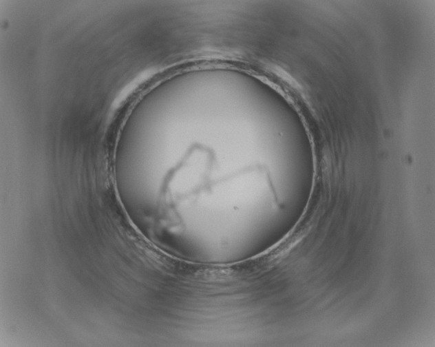 X0000074311310200609151957