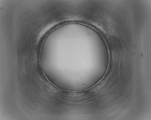 X0000074311311200609151957