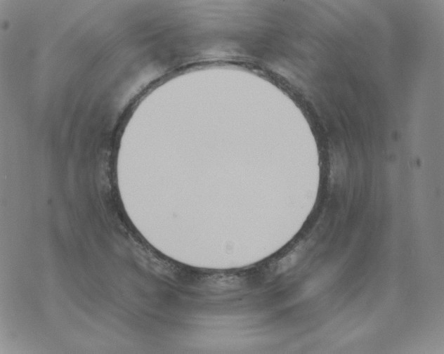 X0000074311314200609151957