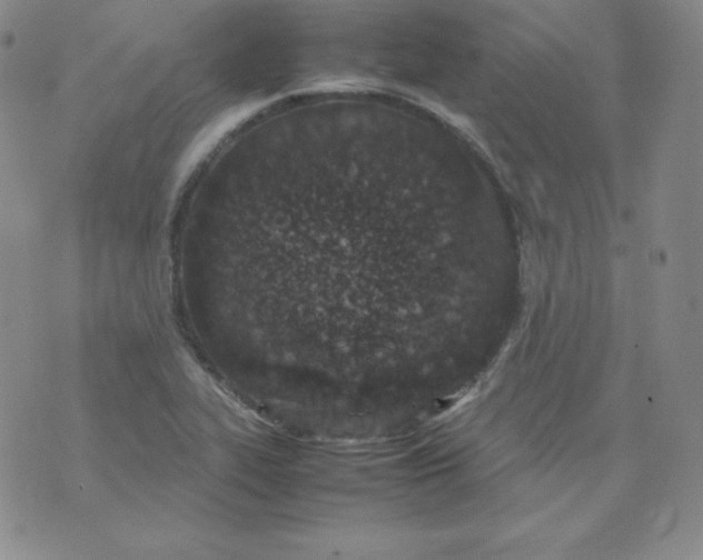 X0000074311319200609151957