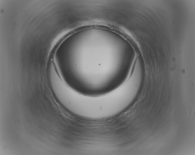 X0000074311320200609151957