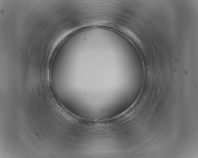 X0000074311324200609151957