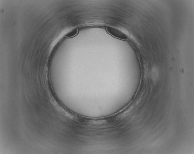 X0000074311325200609151957