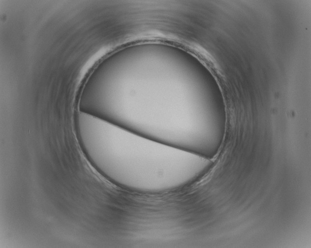 X0000074311326200609151957